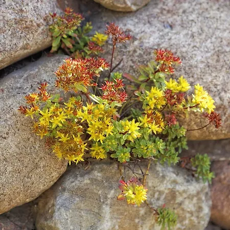 Apartman Lotsenstieg 2 Kajuete 05 *