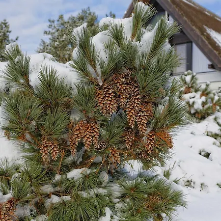 Apartman Lotsenstieg 2 Kajuete 05 *