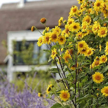 Lotsenstieg 2 Kajuete 05